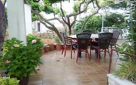 Apartmani Miletic